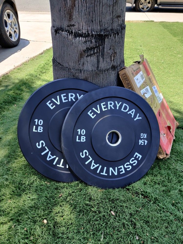 Everyday Essentials Plate Weight 10 LB Pair