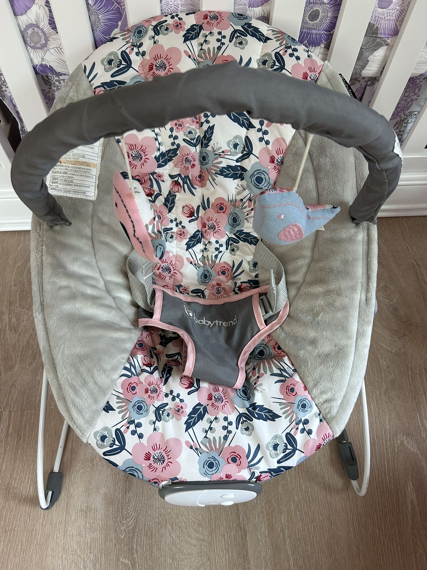 Baby Bouncer