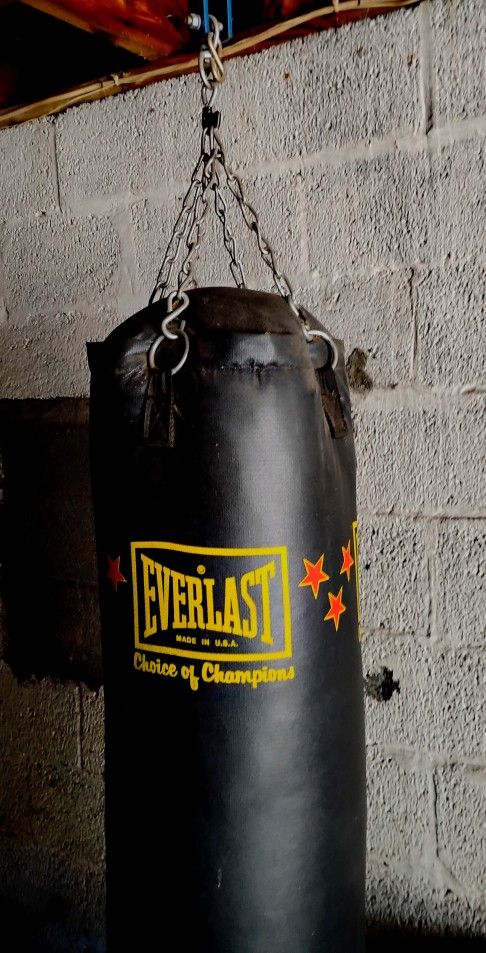 Everlast Punching Bag And Chain Etc