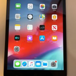 iPad Mini 2