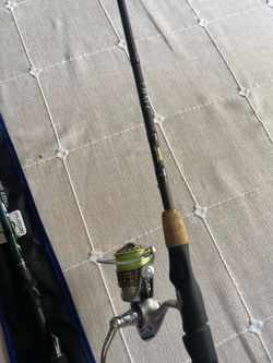 Fenwick Pflueger combo