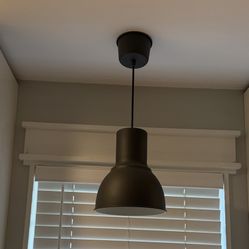 Pendant Light Fixture
