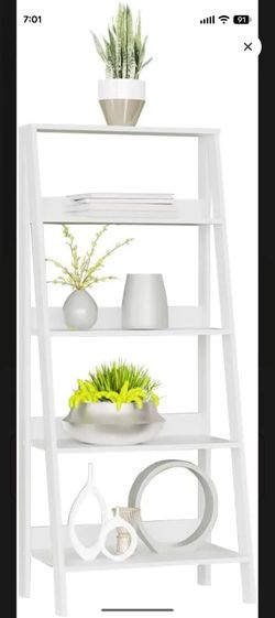 Storage ladder