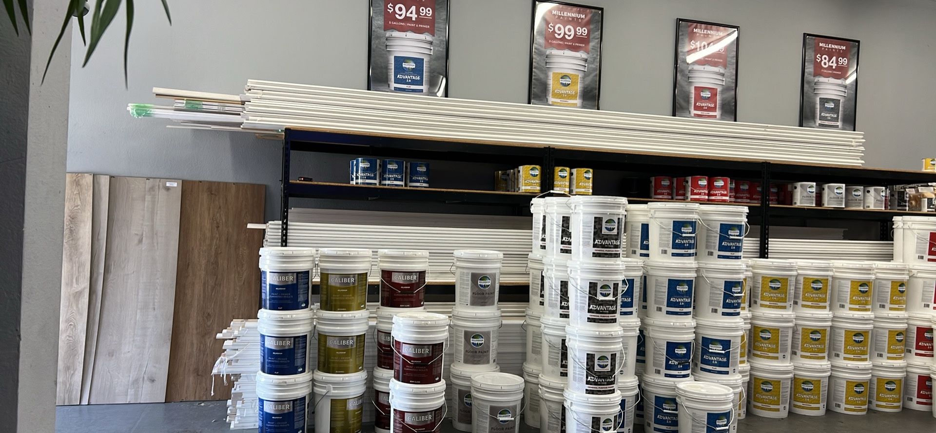 House Paint Interior & Exterior