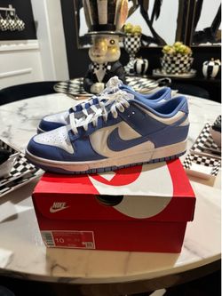 nike dunk low retro shoes