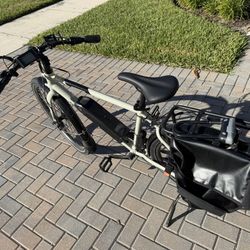 Rad Runner 1 E Bike