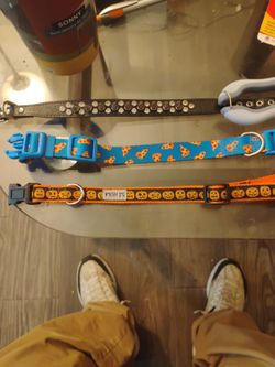 3 Dog Collars