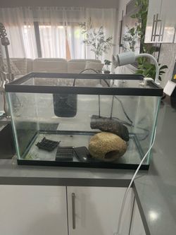 Aquarium starter tank