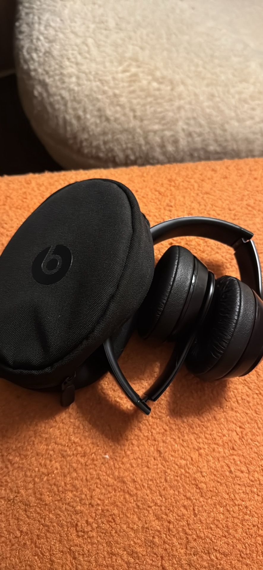 Bats Headphones With Charger And Case