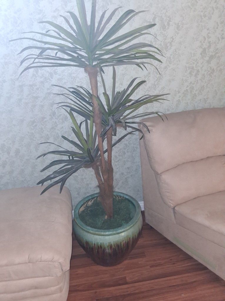 Artificial Plant & Vase