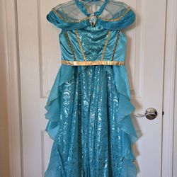 Princess Jasmine Costume- size 9/10