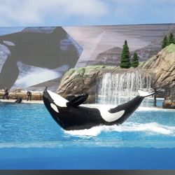 SeaWorld Or Sesame Place SD Tickets + Parking