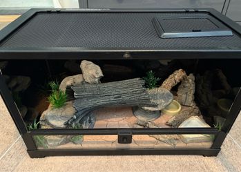 10 Gallon Enclosure
