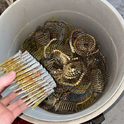 10$ for whole  Bucket Of Coil Nails For Cheap