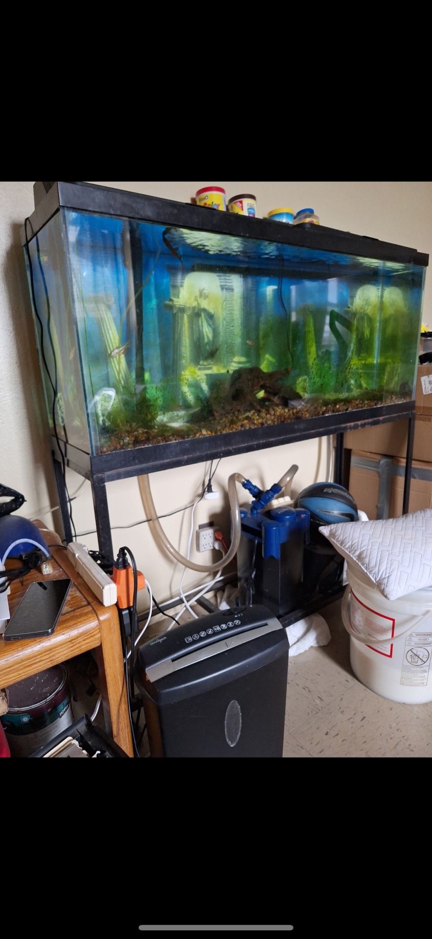 55 Gallon Tank With Stand And Filter System