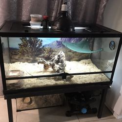 Reptile Tank