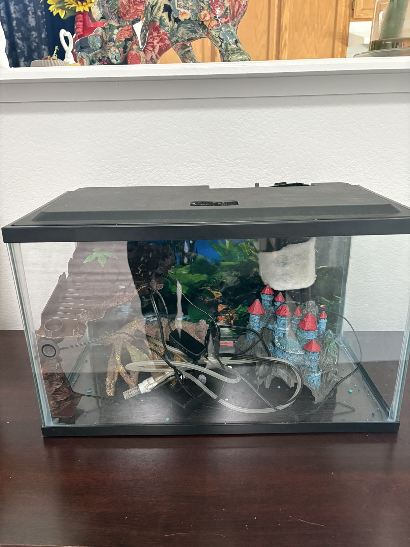 Fish Tank