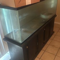 Fish Tank 400$ OBO 
