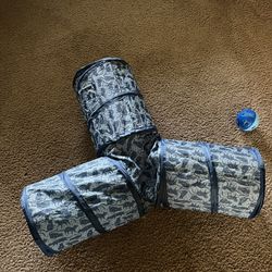 Cat Tunnel 