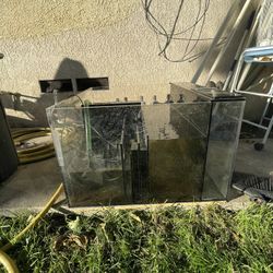 Saltwater Sump