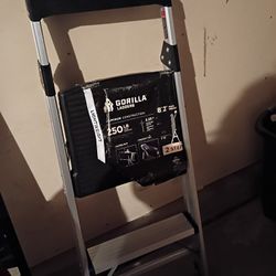 Gorilla Construction Ladder