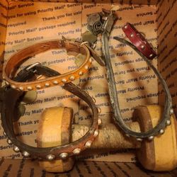 Vintage Leather Studded Dog Collars, etc