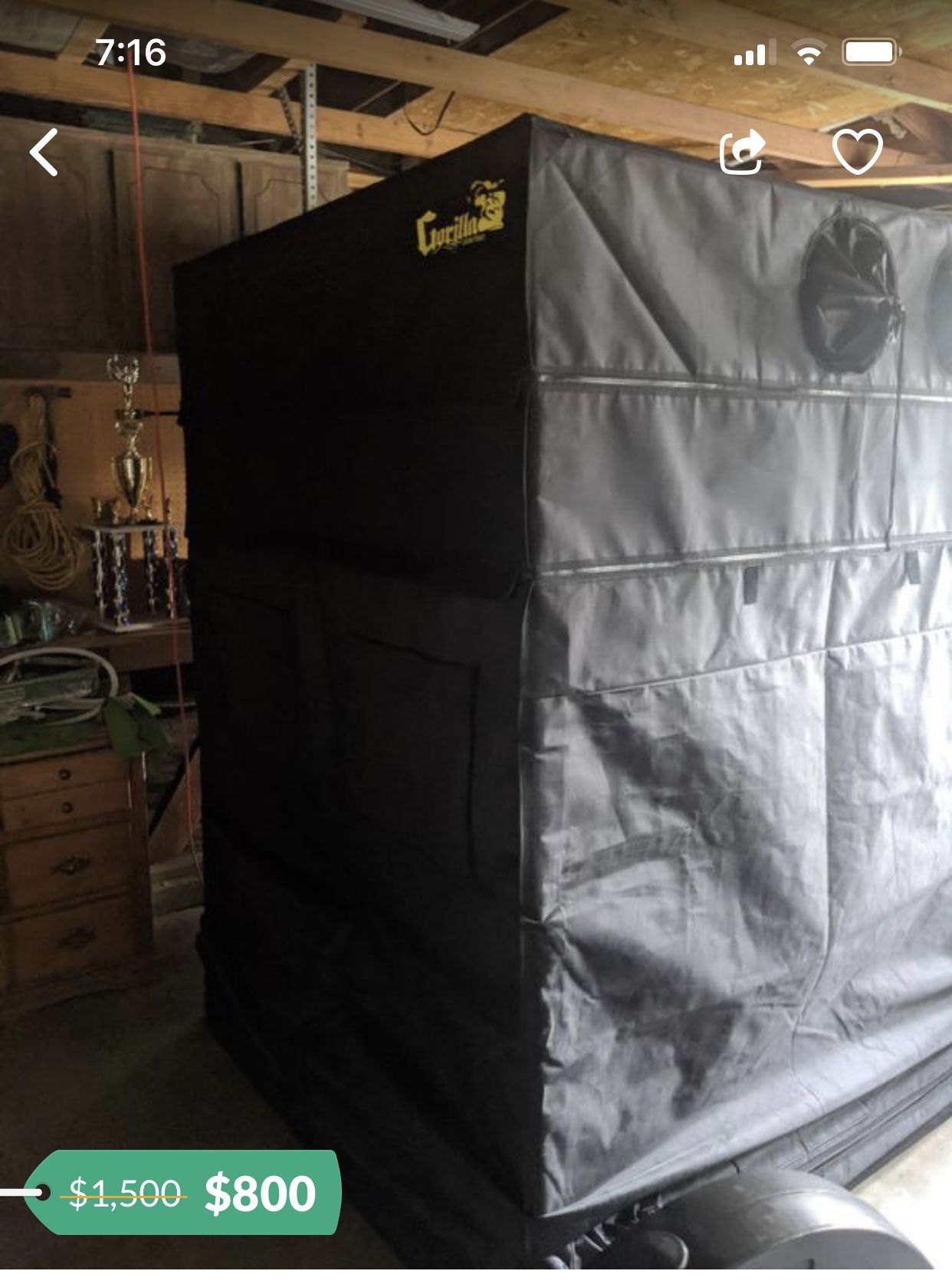 Gorilla growing tent with lights, fan and filter
