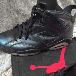 Jordan 6 All-star Chameleon (2017)