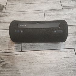 Sony SRS-XG300