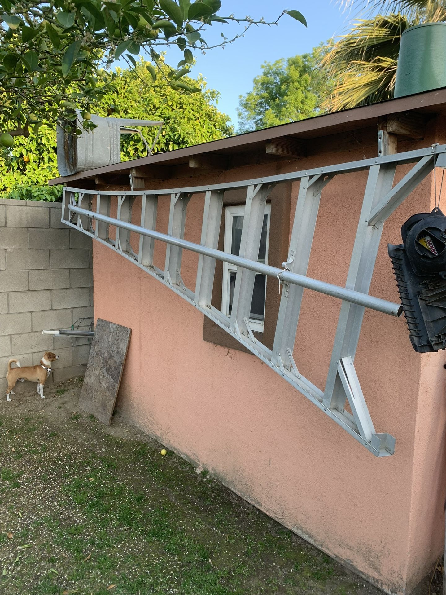 Tripod Step Ladder