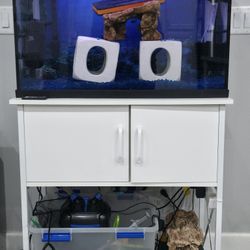 $500 Complete 30 gallon Top Fin Aquarium