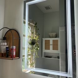 Lighted Bathroom Mirror -Free