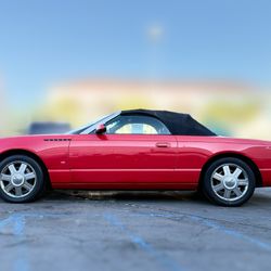 2004 Ford Thunderbird Convertible 
