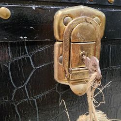 Antique Steamer Trunk. Alligator Skin With Eagle Locks And Working Key.