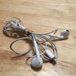 Apple Wired Air Pods