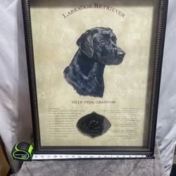 Black Labrador Picture In Wooden Frame