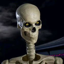 12ft  Skelly Home DEPO