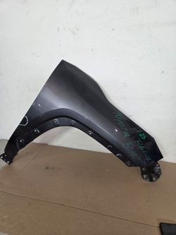 2019-2025 Toyota Rav 4 Fender Right Passenger Side OEM