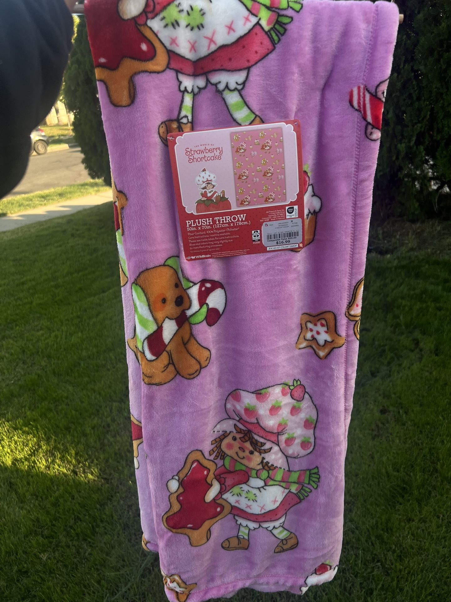 Strawberry shortcake Christmas Blanket