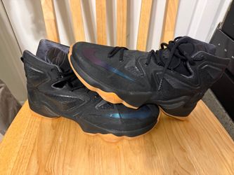 LeBron 13 black lion