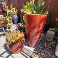 Large Heavy Ceramic Pots / Planters