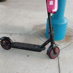 Electric Scooter New