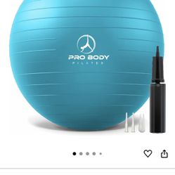 Large Pilates Ball