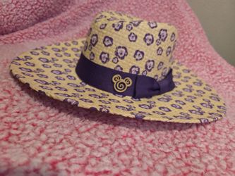 Disney Straw Hat