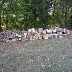 Firewood