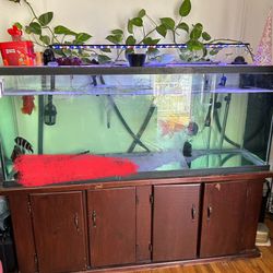 120 Gallon Fish Tank Aquarium 