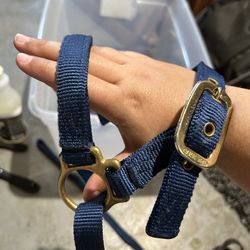 Sheep Harness