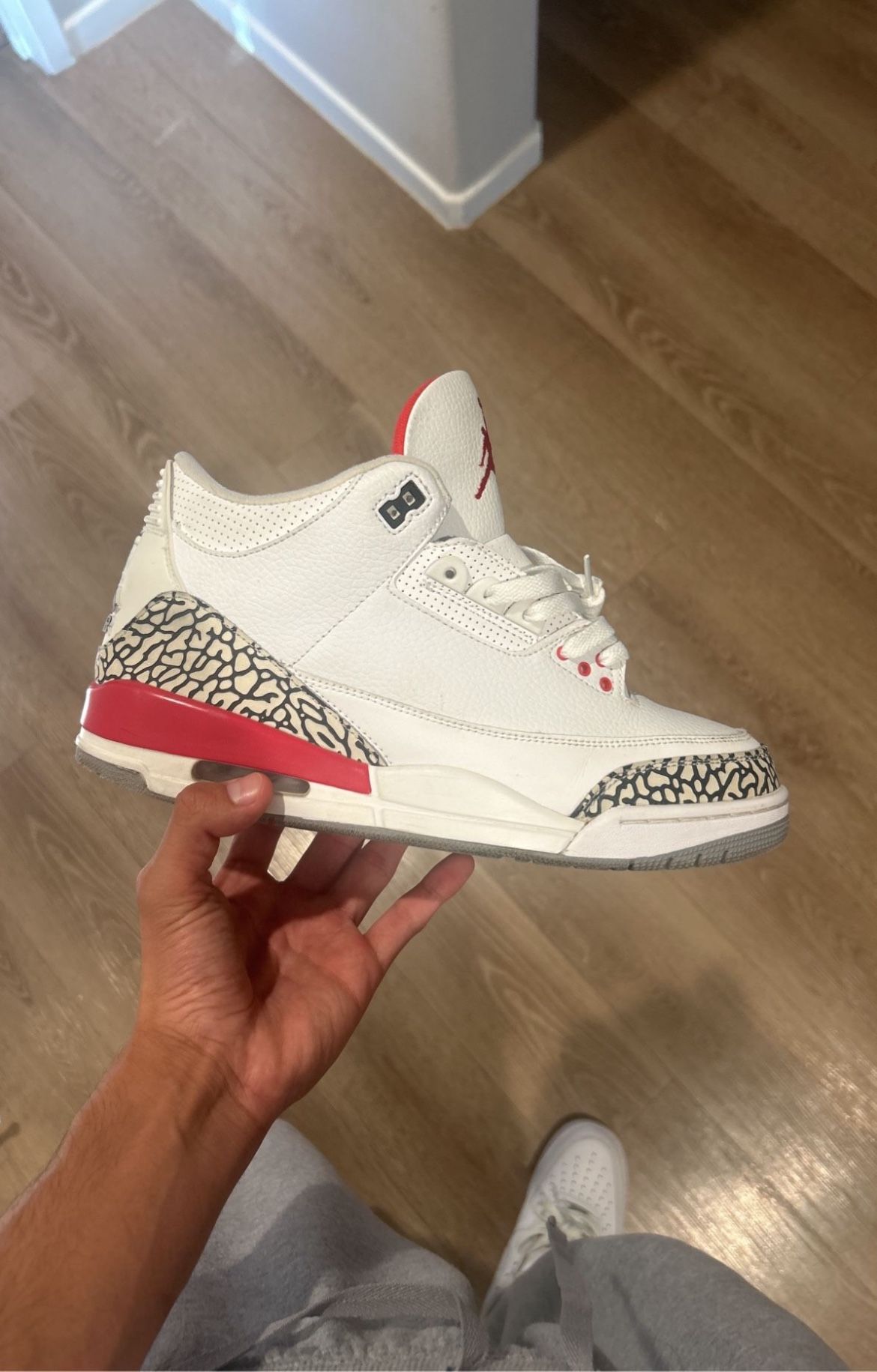Jordan 3 Hall Of Fame