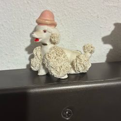 1950S Spaghetti Poodles