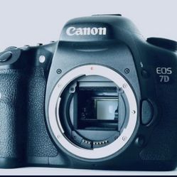 Canon dslr